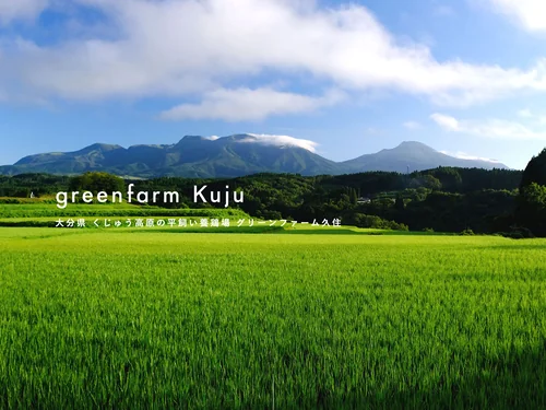 「大分県 くじゅう高原の平飼い養鶏場 | グリーンファーム久住」のキャプチャ画像