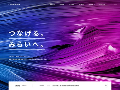 「株式会社プロフェッショナル・ネットワークス」のキャプチャ画像