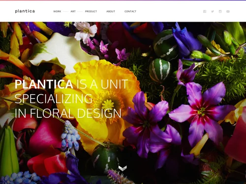 「plantica | 華道家／Flower Artist」のキャプチャ画像