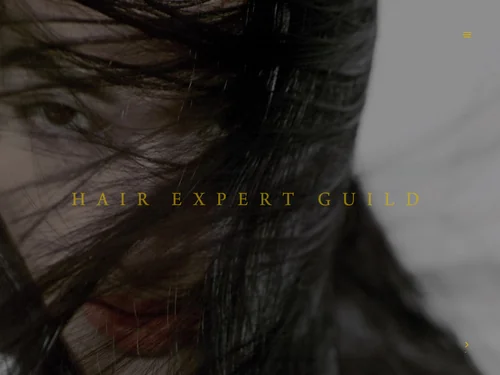 「Hair Expert Guild - Going beyond "HAIR" expression.」のキャプチャ画像