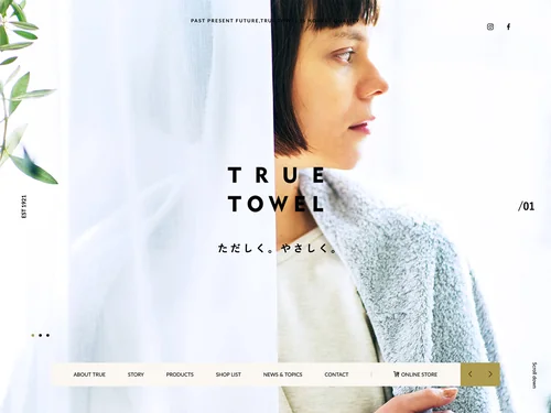 「TRUE TOWEL 公式サイト (トゥルータオル)」のキャプチャ画像