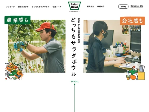 「リクルートサイト｜農業法人サラダボウル」のキャプチャ画像