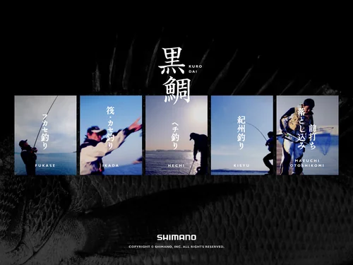 「黒鯛 | SHIMANO」のキャプチャ画像