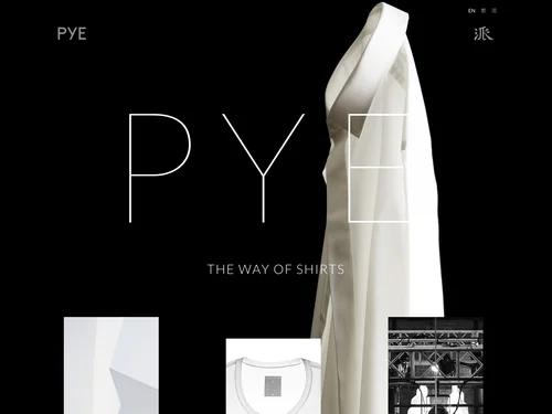 「PYE」のキャプチャ画像