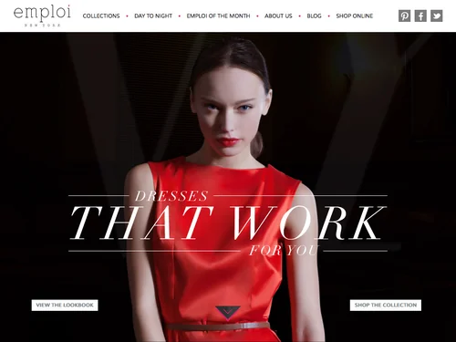 「emploi New York」のキャプチャ画像