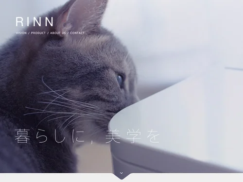 「RINN Inc.」のキャプチャ画像