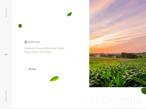 「Brontide」のキャプチャ画像