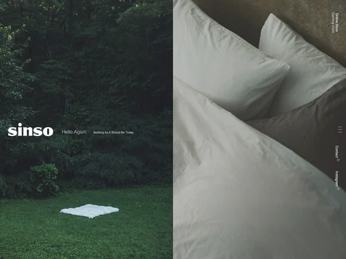 「sinso」のキャプチャ画像