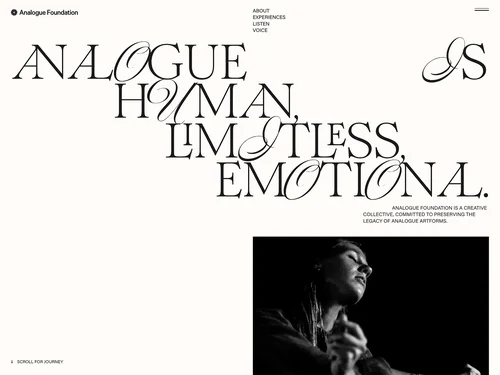 「Analogue Foundation」のキャプチャ画像