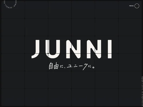 「株式会社ジュニ」のキャプチャ画像