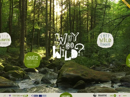 「Why Go Wild」のキャプチャ画像