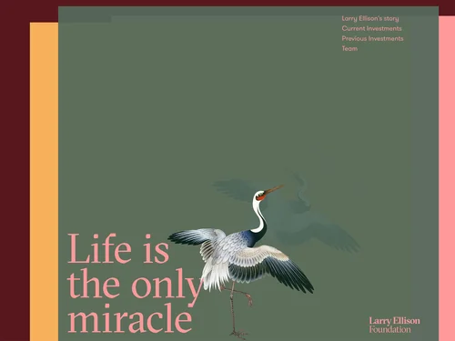 「Home | Larry Ellison Foundation」のキャプチャ画像