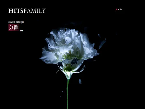 「HITSFAMILY」のキャプチャ画像