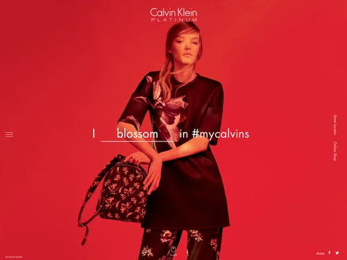 「Calvin Klein PLATINUM Fall 2016 Floral Exposure」のキャプチャ画像