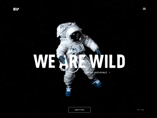 「WILD」のキャプチャ画像
