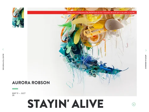 「McColl Center for Art + Innovation」のキャプチャ画像