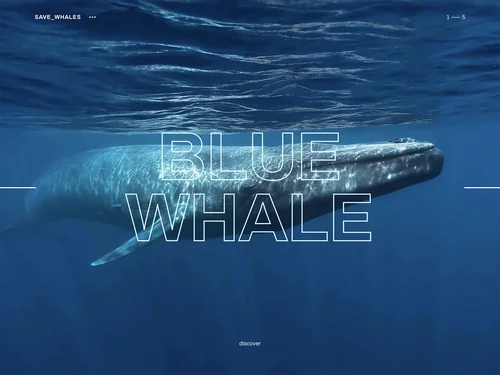 「Save whales」のキャプチャ画像