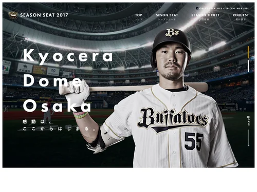 「SEASON SEAT 2017 | チケット | オリックス・バファローズ オフィシャルサイト」のキャプチャ画像