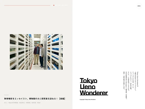 「東京上野ワンダラー（Tokyo Ueno Wonderer）」のキャプチャ画像