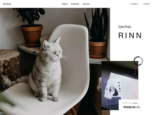 「RINN Inc.」のキャプチャ画像