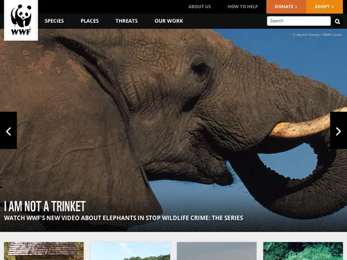 「WWF - Endangered Species Conservation | World Wildlife Fund」のキャプチャ画像