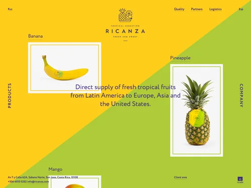「Ricanza」のキャプチャ画像
