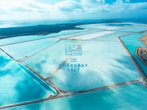 「THE SHARKBAY SALT（シャークベイソルト）公式サイト」のキャプチャ画像