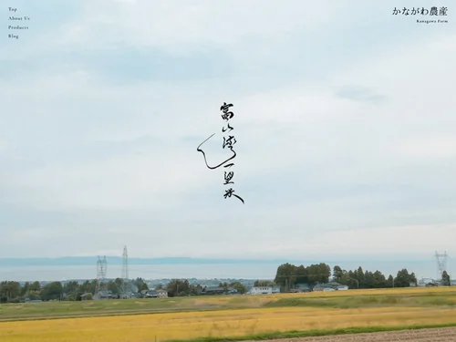 「かながわ農産 | 富山県滑川市のお米農家」のキャプチャ画像
