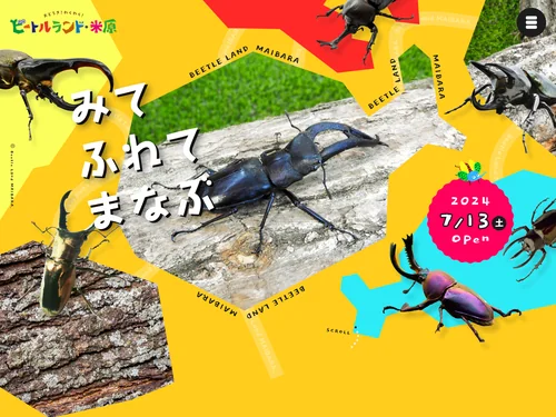 「ビートルランド・米原 | 甲虫と触れあえる屋内展示施設」のキャプチャ画像