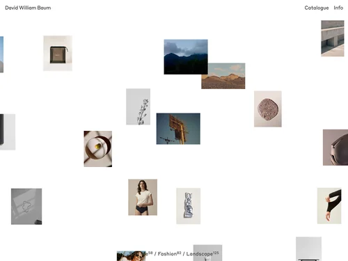 「David William Baum」のキャプチャ画像