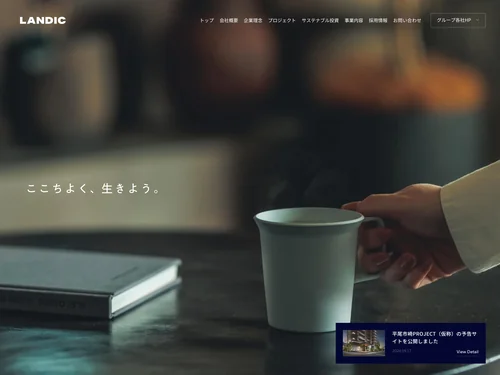 「LANDICホールディングス」のキャプチャ画像