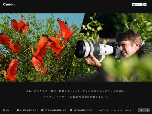 「キヤノン：ティム・レイマン　スペシャルサイト「INTO THE NATURE」」のキャプチャ画像