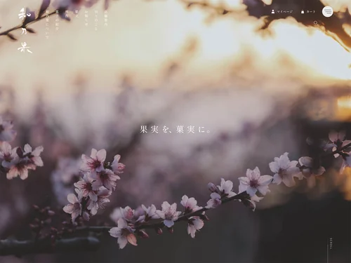 「山梨果実菓子 和乃果 | WANOCA」のキャプチャ画像
